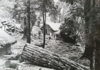 Log warehouse, tropical forest, India, June 1963
