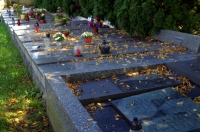 Bernartice graveyard; graves of the victims who died at the end of the WWII