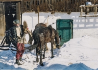 Winter in Gernik, Josef Merhaut with his horses, 2004