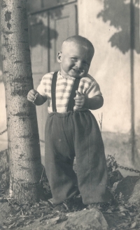 Karel Peterka v roce 1949