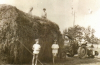 On the wagon with hay: father-in-law Ladislav Jílek (1908–1990), Jan Jílek (*1975); down: Ladislav Jílek (*1978), Veronika Jílková (*1976), Babka, 1989 