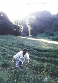 Mowing the meadows on the Bílé potoky near Valašské Klobouky; the mowing is organized by the Základní organizace Českého svazu ochránců přírody Kosenka from Valašské Klobouky, 1995