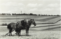 View of Hrabyně from Josefovice, 1930