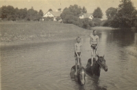 Brothers Ladislav and Karel Koranda are swimming with horses Lucka and Minda, house no. 6 in Dvory nad Lužnicí is in the background (circa 1940)
