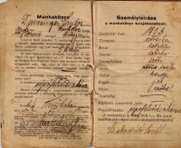 An employement record book used by Peter Danzinger's father under the name Sándor Danzinger 

