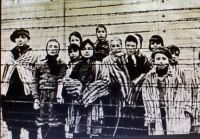 His friend, Paľo (first from the right), in Auschwitz 


