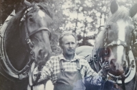 Jan Sýkora, working with horses at the state forest, 1985	