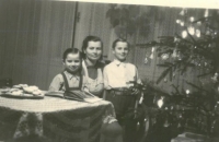 By the Christmas tree, 1954 in an apartment on Strmá Street
