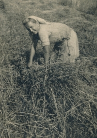 Květa Pelantová in the field