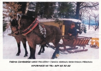 Antonín Szkandera, sleigh rides