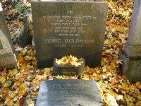 Tombstone of the Goldmann family at the Jewish cemetery in Boskovice