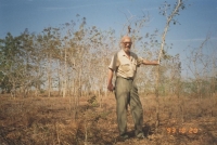 Výsadba ebenových dřevin, severní Mosambik, 1993