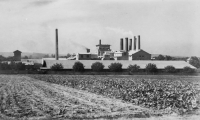 Cementárna v Tlumačově, ve které pracoval stařeček pamětnice z matčiny strany, 1936