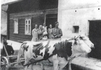Gerykovi ze Štramberka, krávy Bělana a Březa, před jejich domem (v popředí strýc Ferenc, kterého navštěvovali v Sudetech na propustku za války), Štramberk, 3. července 1933
