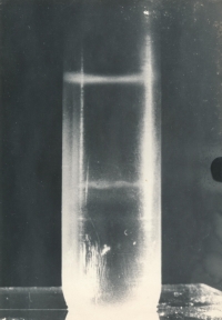 Test tube with leukemia virus from mouse after centrifugation in gradient, ca. 1966 