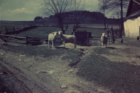 Sedlejov, part of the farm no. 16, 1957