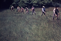 Manual hay scything in Sedlejov in 1957