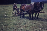 A horse-drawn mower in Sedlejov in 1957
