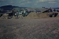 Thrashing grain in the field in Sedlejov in 1958