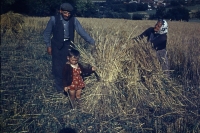 Jana Marek´s parents and son in Sedlejov in 1958