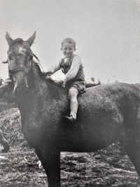 Bořivoj Hytych on a horse that the family owned on the farm in 1945