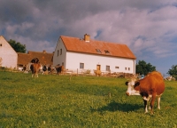 Hladná u Albrechtic, léčebna závislostí, 1991–1992