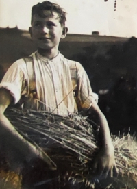 Uncle Alois during his childhood while farming in Pstrążná
