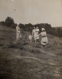 Farming in Pstrążná after the war – the witness's mother with a rake, aunt Marie holding her sister Elżbieta, the witness is next to her, grandmother Marie Hauschke on the left
