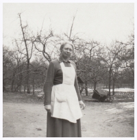 His mother Božena Divišová (née Chalupová) in the family orchard, 1952–1953
