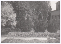 Okrasná zahrada vily Evičky, 1952–1953