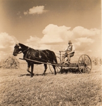 Great-grandfather in his field in Senica na Hané