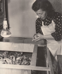 Eliška Weinsteinová s kuřátky před odesláním, Vizovice duben 1958
