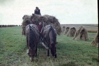 Jiří Sova with his grandparents while working in the field, 1974