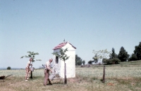 Jiří Sova summer job - planting linden trees, 1975