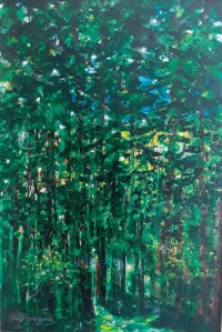 Francisco - Bild eines Waldes