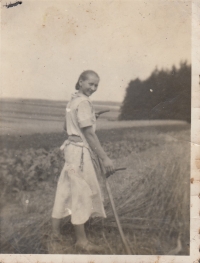 Maminka pamětnice Jiřina Křemenáková na poli u Kašparova háje ve Sloupnici.