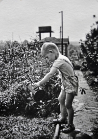 Václav Kaňka in a gardening colony on Trojský ostrov in Prague (1943)		
