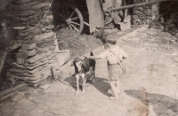 Marta Čechová in 1942 at the age of two at the farm in Štrampouch, Čáslav area