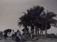 Egypt 1960, 25. ledna trénink na závod kolem Luxoru