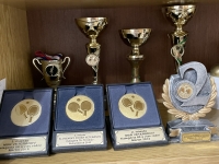 awards in table tennis