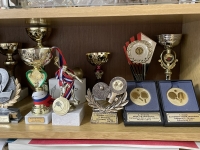 awards in table tennis