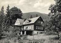 Bartl Cottage in Bílý Potok, where the witness met her husband, post-war postcard