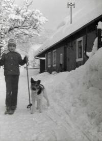 "We used to have so much snow." The daughter of the witness on skis in front of  the house in Bílý Potok