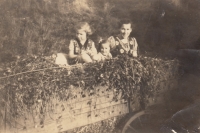Renata Hillmannová with her sister and their mother carrying clover picked above the customs house, Schnellau (Slané), around 1939 