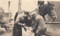 Her father Pavel Hoffmann (on the left) shoeing in Schnellau (Slané), around 1938