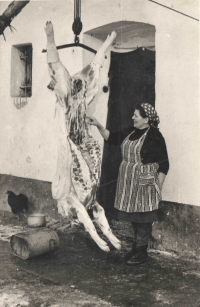 Mother Marie Polívková during the pig-killing in Babice