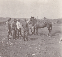 Losování koní v 3. těžkém dělostřeleckém divisionu na stanici Jenisej