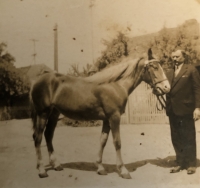 His father with one of their horses, approx 1930s 