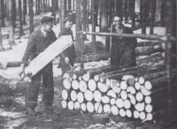 Josef Pinkava při těžbě dřeva v Jestřebích horách na konci druhé světové války