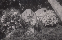 The funeral of the Ošker family, 1945